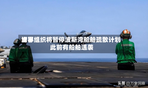 世界海事组织将暂停波斯湾船舶疏散计划 此前有船舶遇袭