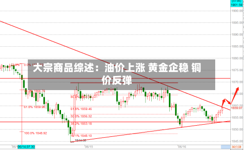 大宗商品综述：油价上涨 黄金企稳 铜价反弹-第2张图片