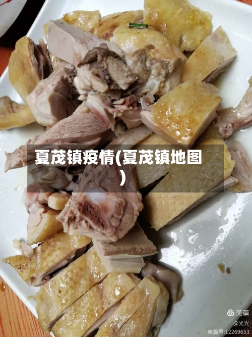 夏茂镇疫情(夏茂镇地图)-第2张图片