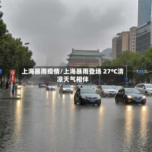 上海暴雨疫情/上海暴雨登场 27℃清凉天气相伴