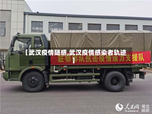 【武汉疫情随感,武汉疫情感染者轨迹】-第2张图片