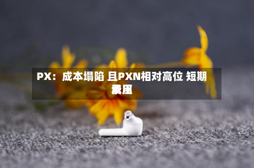 PX：成本塌陷 且PXN相对高位 短期费用承压