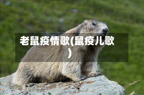 老鼠疫情歌(鼠疫儿歌)-第3张图片