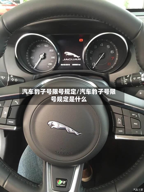 汽车豹子号限号规定/汽车豹子号限号规定是什么
