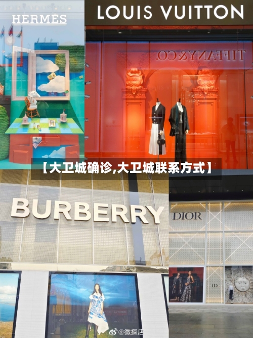 【大卫城确诊,大卫城联系方式】