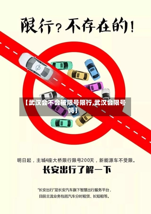 【武汉会不会被限号限行,武汉会限号吗】-第3张图片
