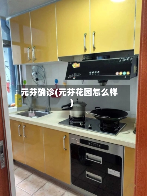 元芬确诊(元芬花园怎么样)-第2张图片