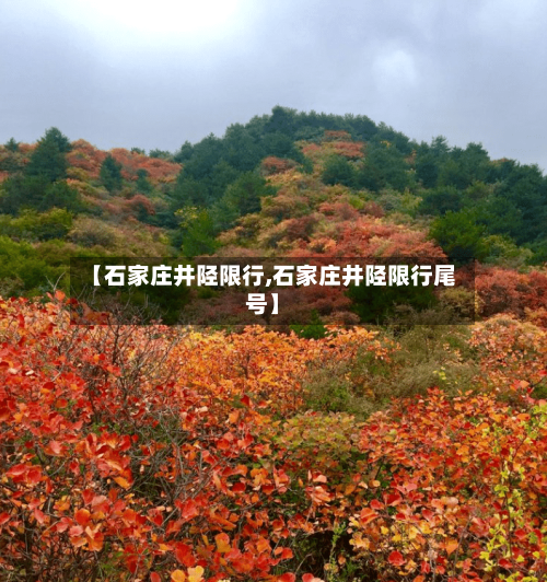 【石家庄井陉限行,石家庄井陉限行尾号】-第2张图片