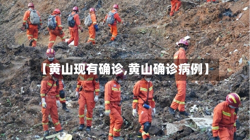 【黄山现有确诊,黄山确诊病例】