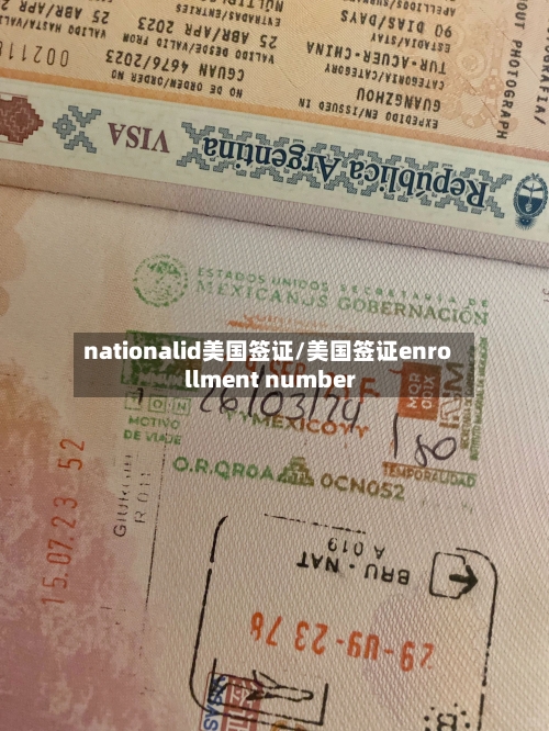 nationalid美国签证/美国签证enrollment number-第3张图片