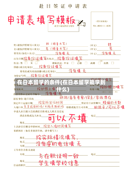 在日本留学的条件(在日本留学能学到什么)-第2张图片