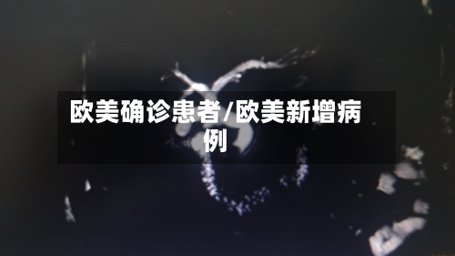 欧美确诊患者/欧美新增病例-第2张图片