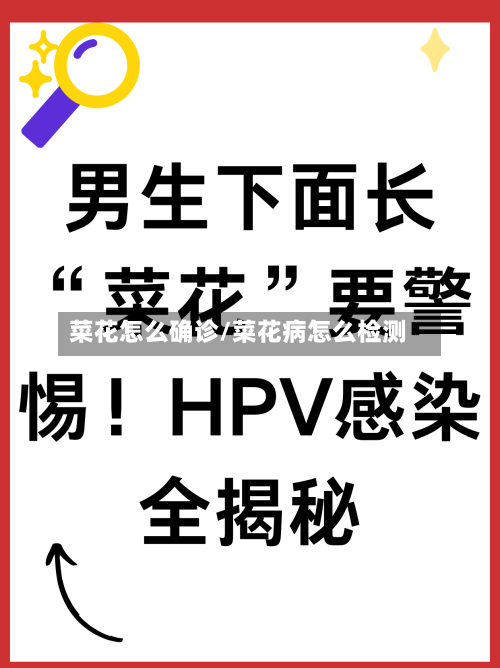 菜花怎么确诊/菜花病怎么检测-第2张图片