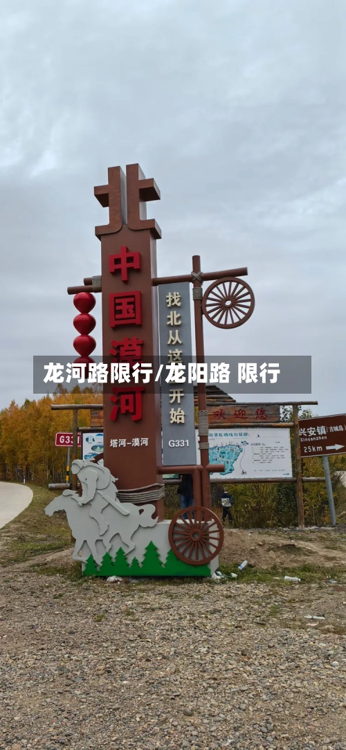 龙河路限行/龙阳路 限行-第2张图片