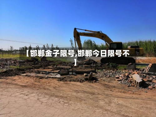 【邯郸金子限号,邯郸今日限号不】-第2张图片