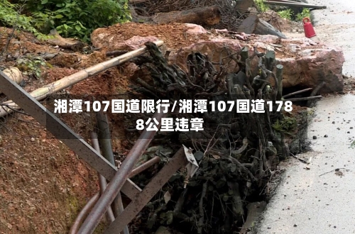 湘潭107国道限行/湘潭107国道1788公里违章-第3张图片