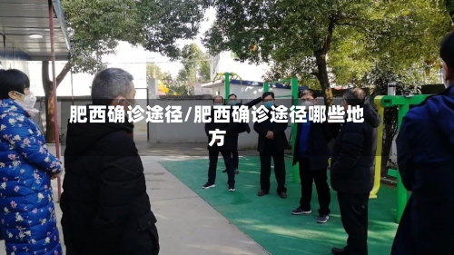 肥西确诊途径/肥西确诊途径哪些地方-第3张图片
