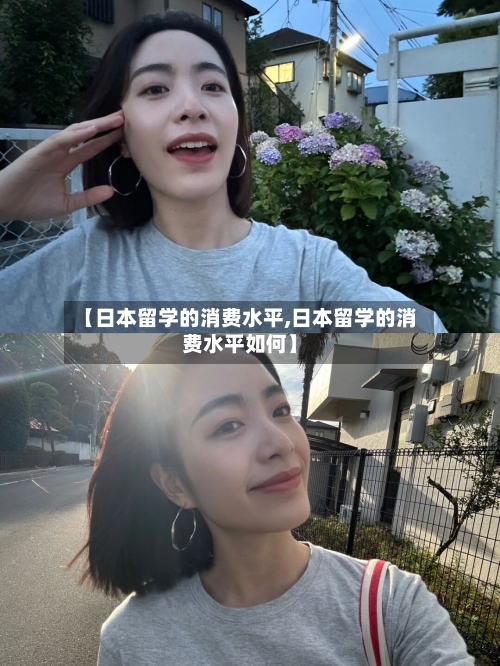 【日本留学的消费水平,日本留学的消费水平如何】-第3张图片