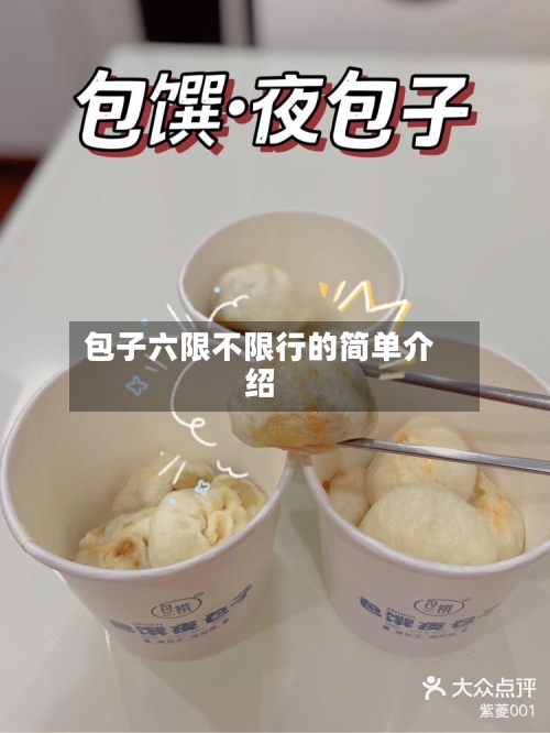 包子六限不限行的简单介绍-第2张图片