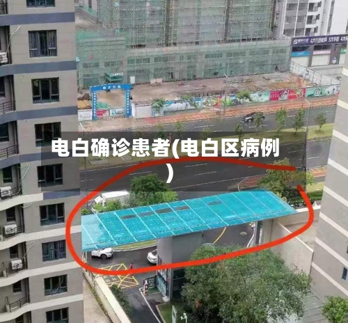 电白确诊患者(电白区病例)-第2张图片