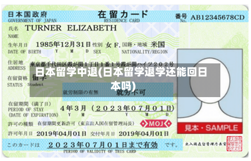 日本留学中退(日本留学退学还能回日本吗)