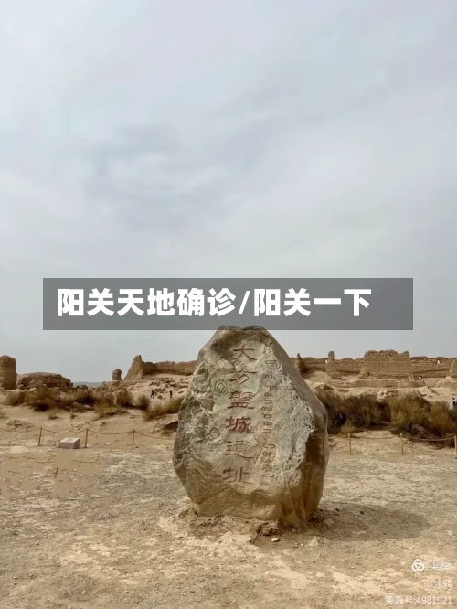 阳关天地确诊/阳关一下