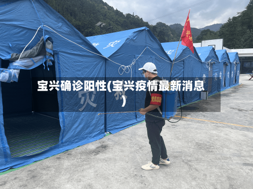 宝兴确诊阳性(宝兴疫情最新消息)-第2张图片