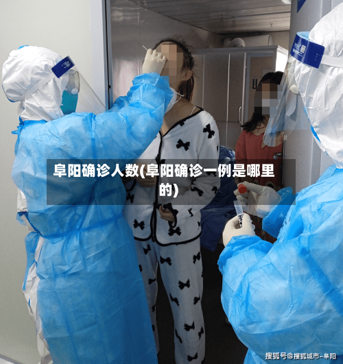 阜阳确诊人数(阜阳确诊一例是哪里的)-第2张图片