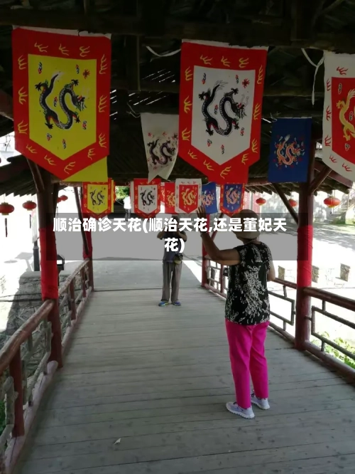 顺治确诊天花(顺治天花,还是董妃天花)