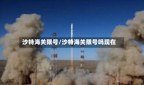 沙特海关限号/沙特海关限号吗现在